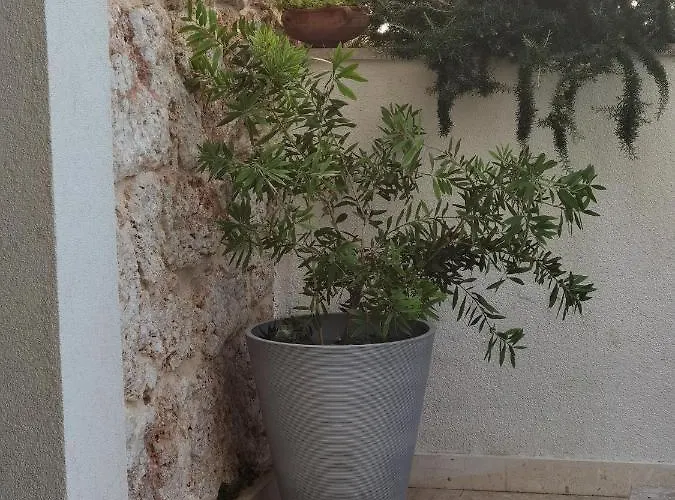 Apartmán Manda *
